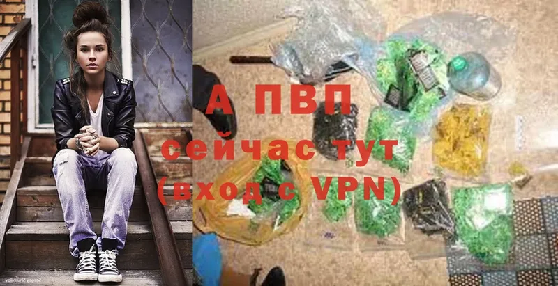 A PVP СК КРИС  Волосово 