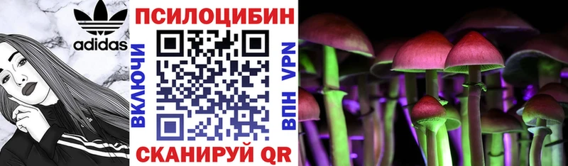 наркота  Волосово  Галлюциногенные грибы Psilocybe 