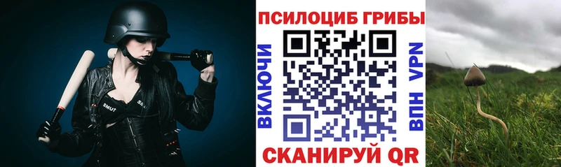 Галлюциногенные грибы Cubensis Волосово